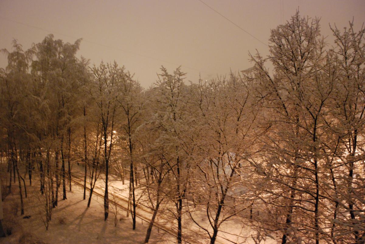 DSC_0160.JPG