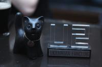 Cat & Award