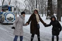 Анны Каренины