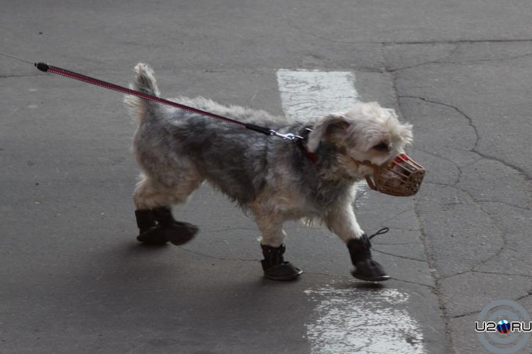 А я иду, шагаю по Москве...