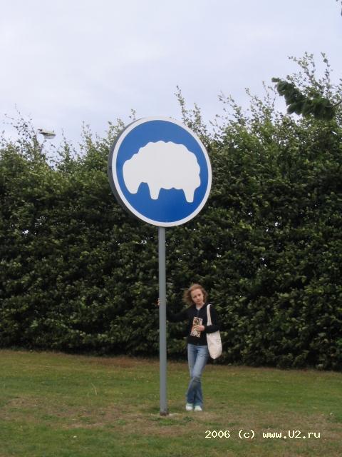 33972795.jpg