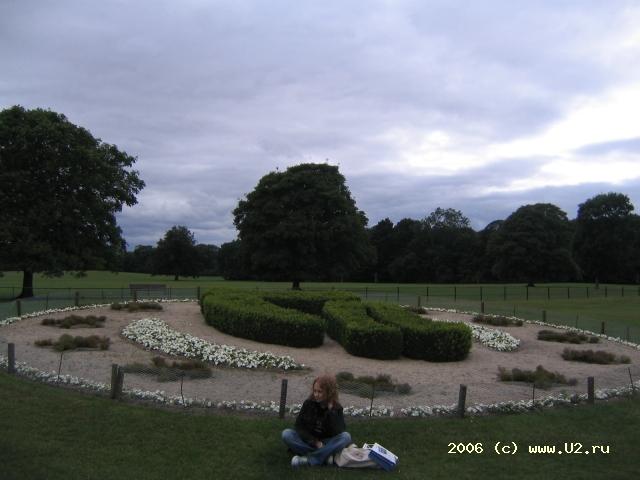 33972835.jpg