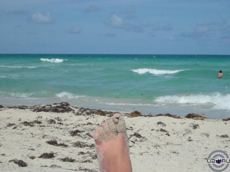 Miami, I took a picture of you