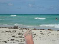 Miami, I took a picture of you