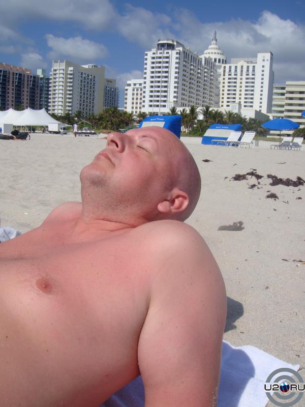 Капибара на South Beach