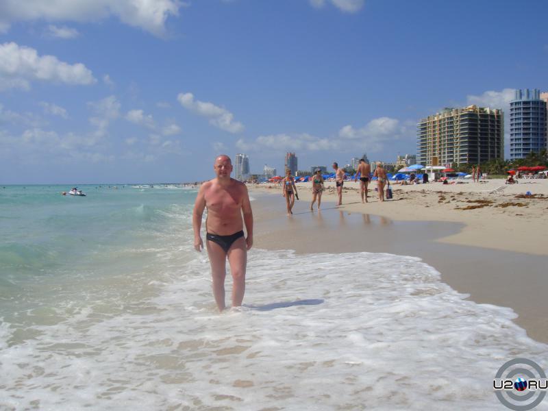 Капибара на South Beach 2