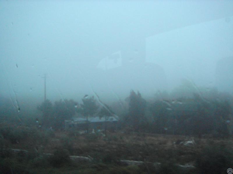 mist, rain, cold - perfect weather for the show)