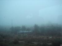 mist, rain, cold - perfect weather for the show)