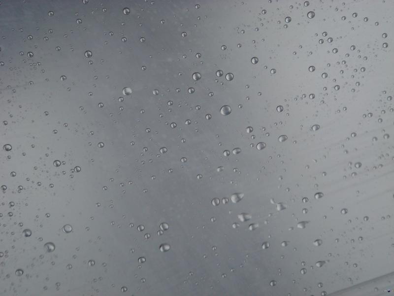 the rain 