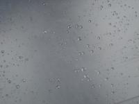 the rain 