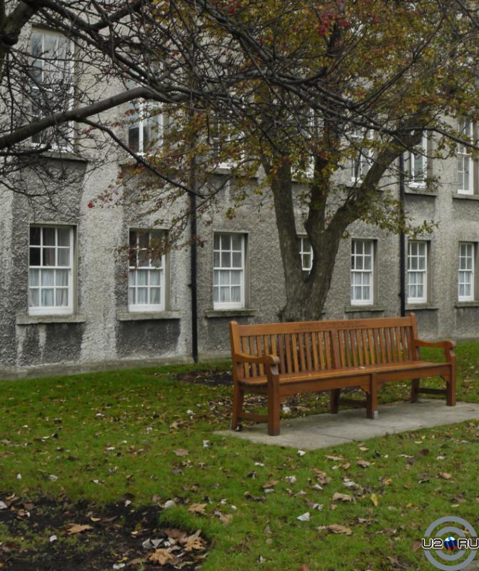 На территории Trinity college