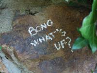 What's up?