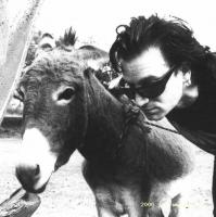 bono