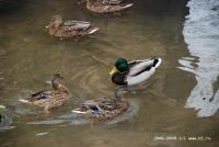 dsc_0028.jpg.jpg