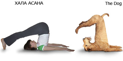 yoga3.jpg