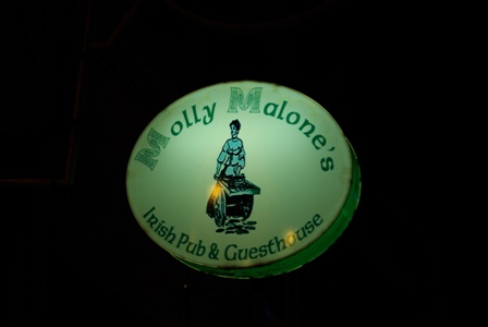 molly.JPG