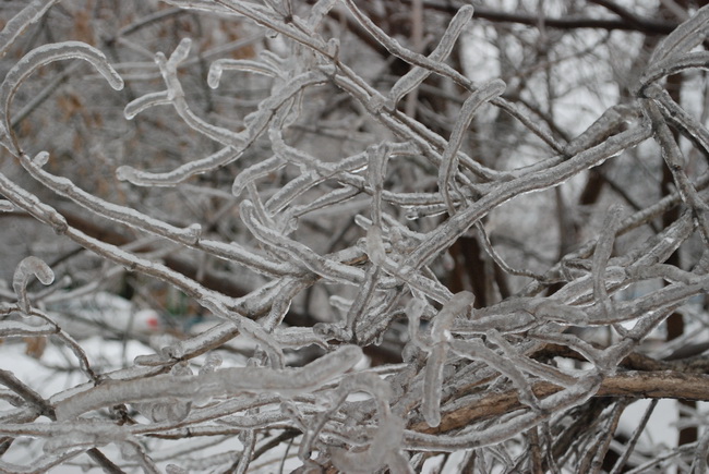 DSC_0011_sm.JPG