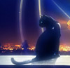 аватар: Indigo_night