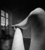 аватар: Anchous