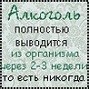 аватар: MOD
